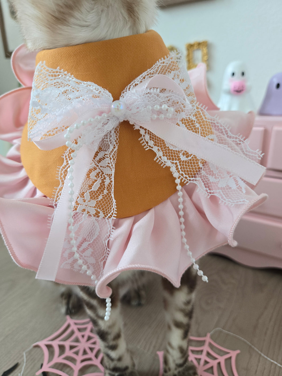 Creme Boo-lée Pet Bandana (reversible 4-way wear)