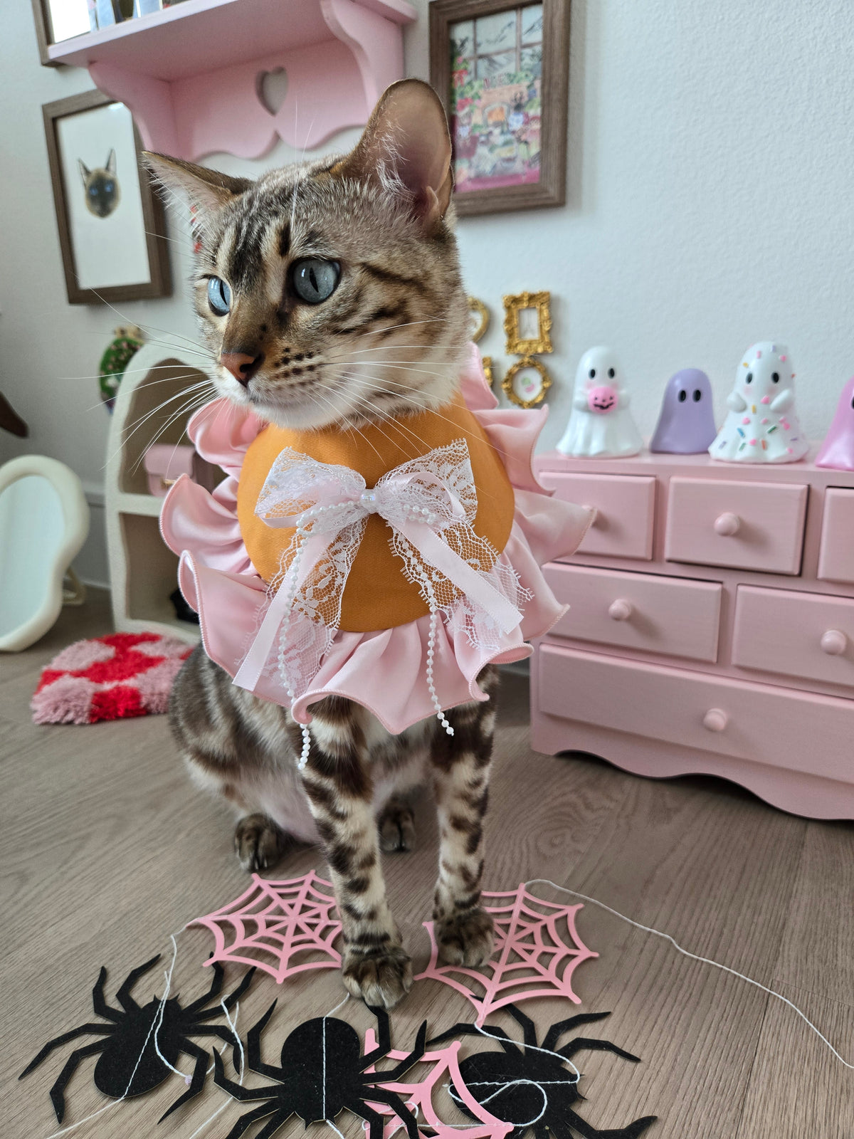 Creme Boo-lée Pet Bandana (reversible 4-way wear)