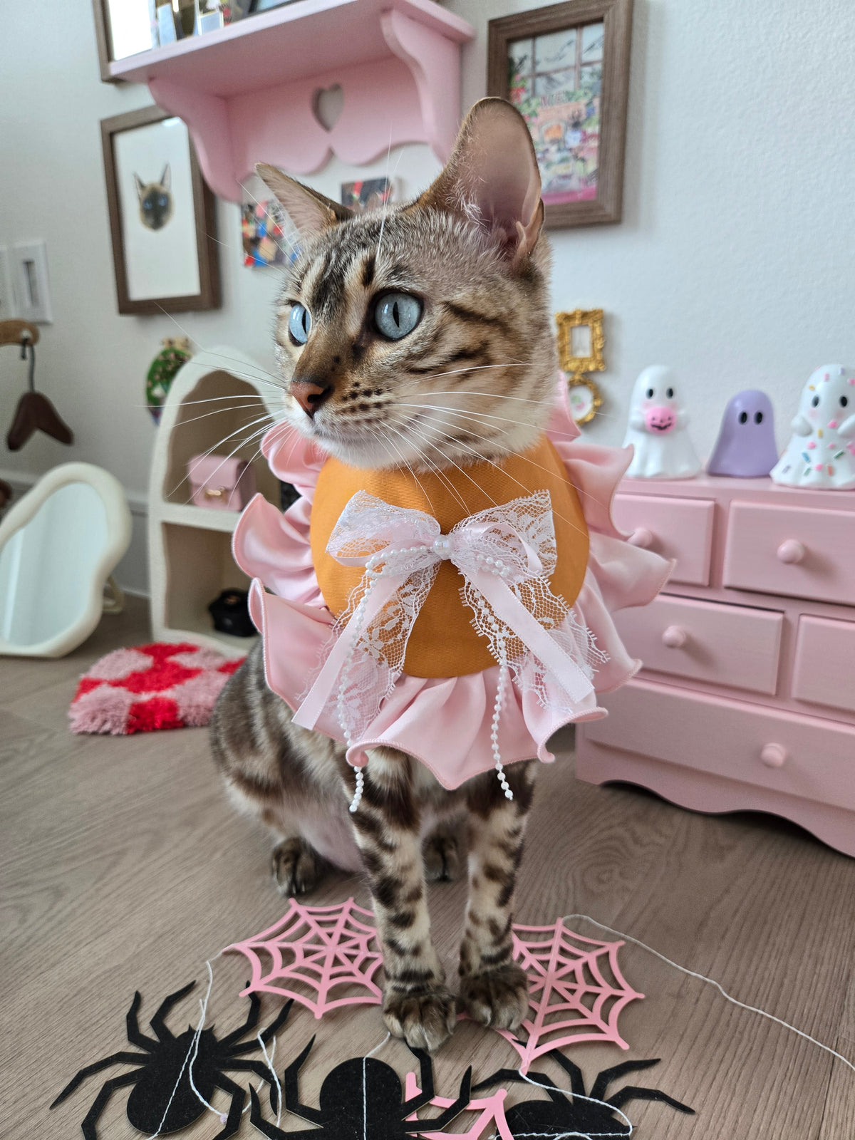 Creme Boo-lée Pet Bandana (reversible 4-way wear)