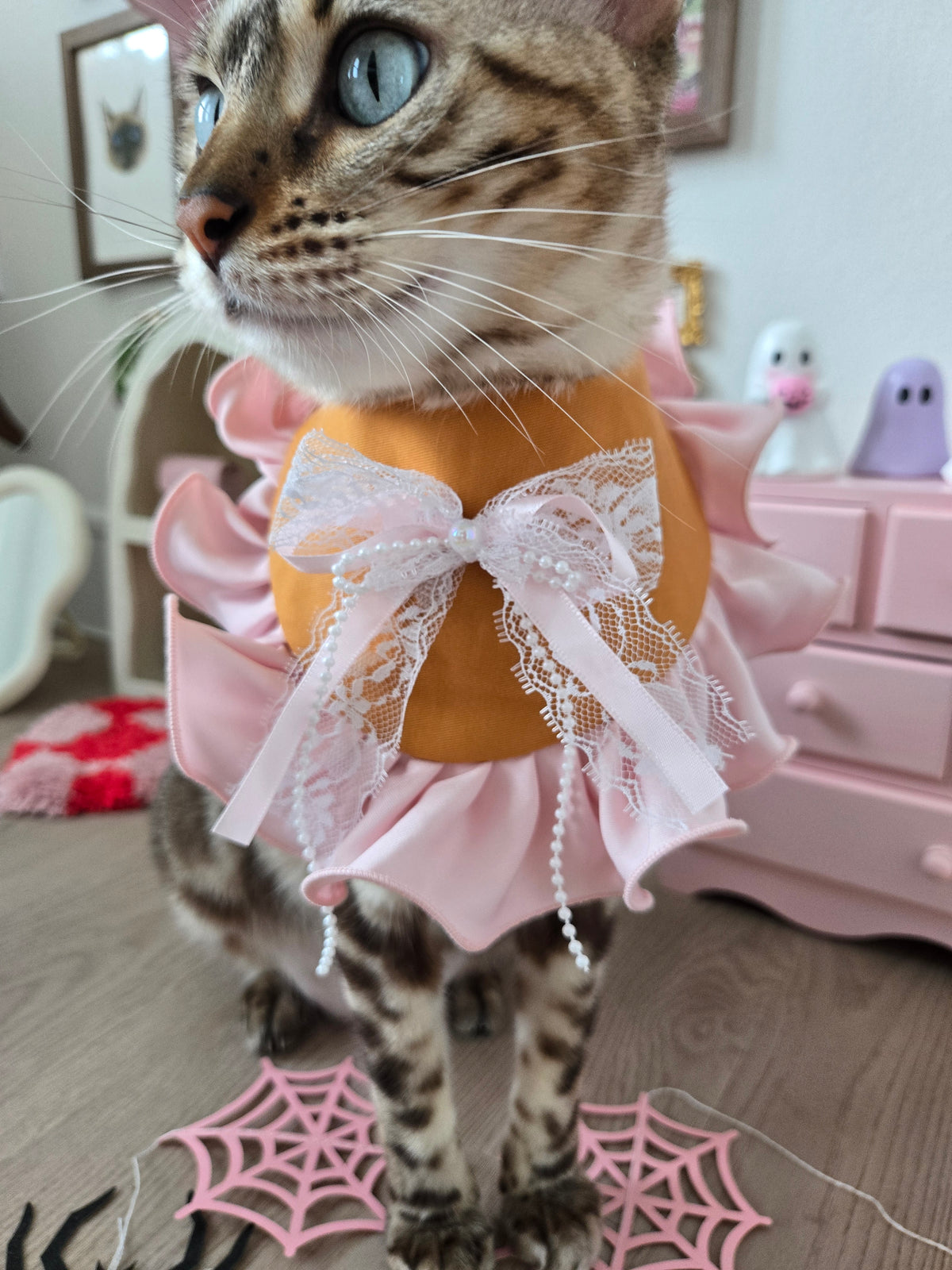 Creme Boo-lée Pet Bandana (reversible 4-way wear)