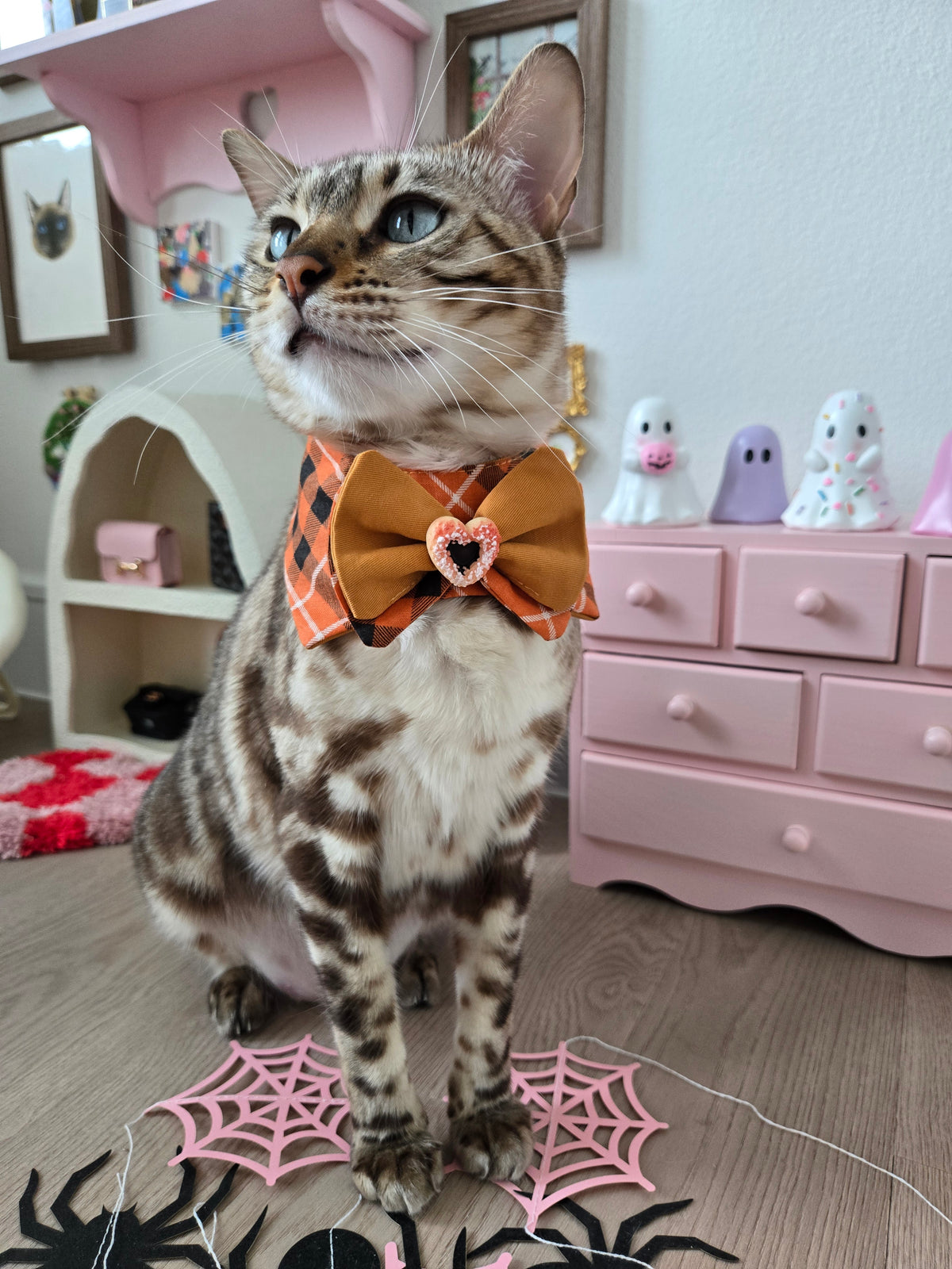 Le Minuit Shortbread Pet Bandana