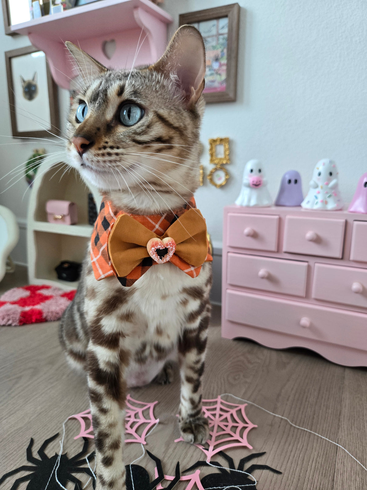Le Minuit Shortbread Pet Bandana