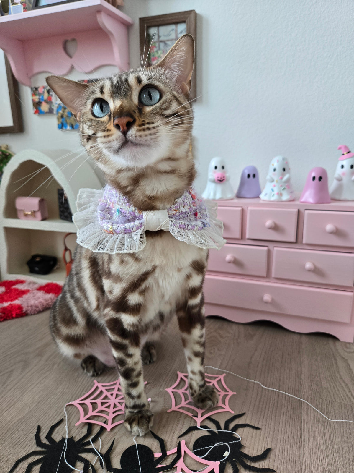 La Meringue de Minuit Pet Bandana