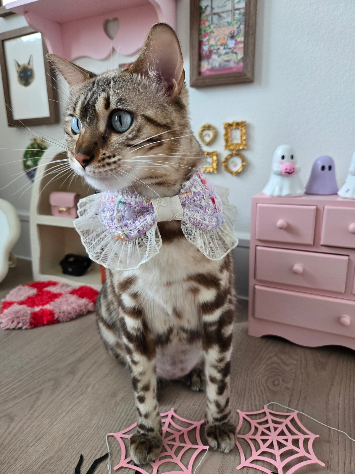 La Meringue de Minuit Pet Bandana