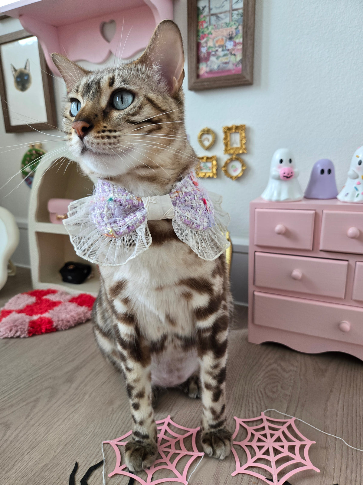 La Meringue de Minuit Pet Bandana