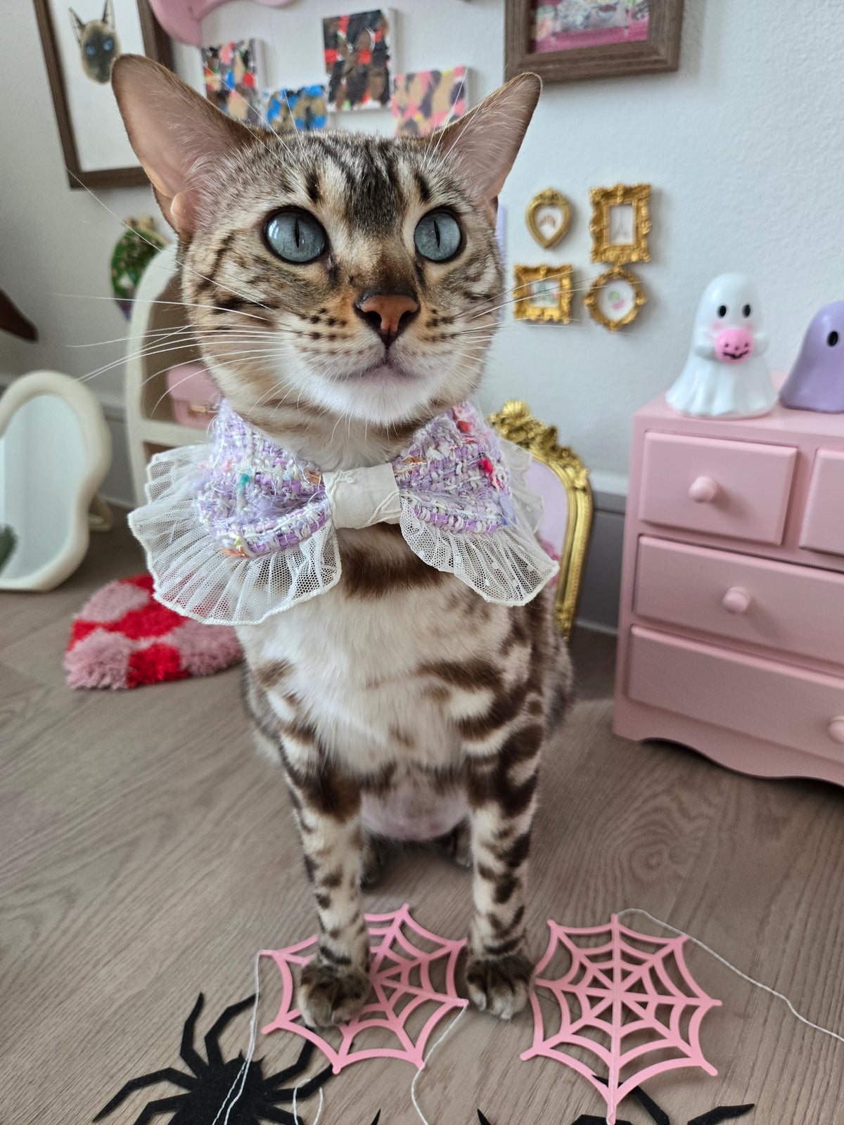La Meringue de Minuit Pet Bandana