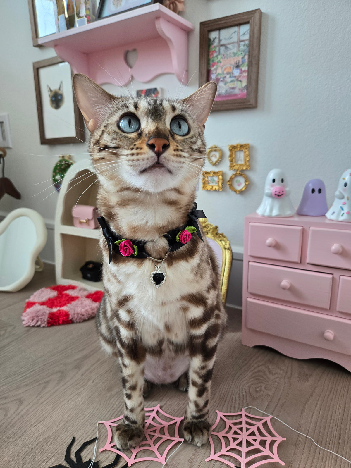 Le Midnight Heart Pet Necklace