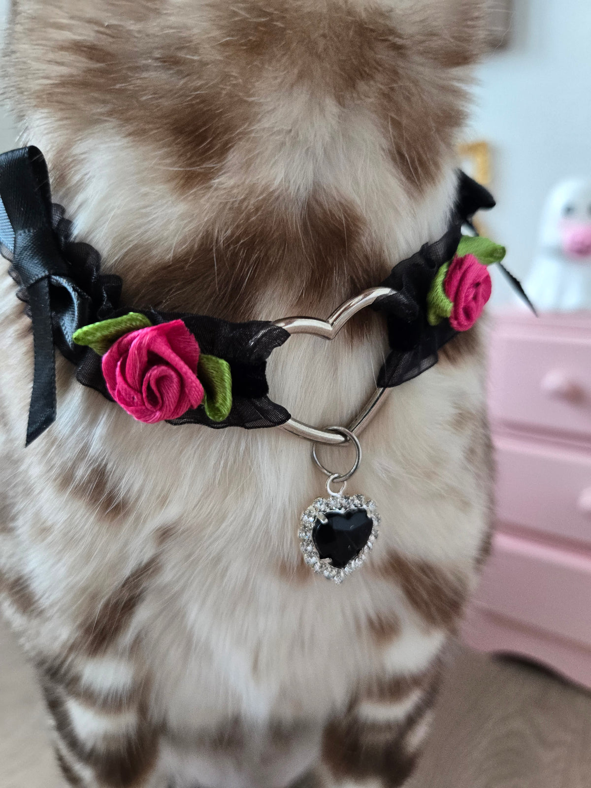 Le Midnight Heart Pet Necklace
