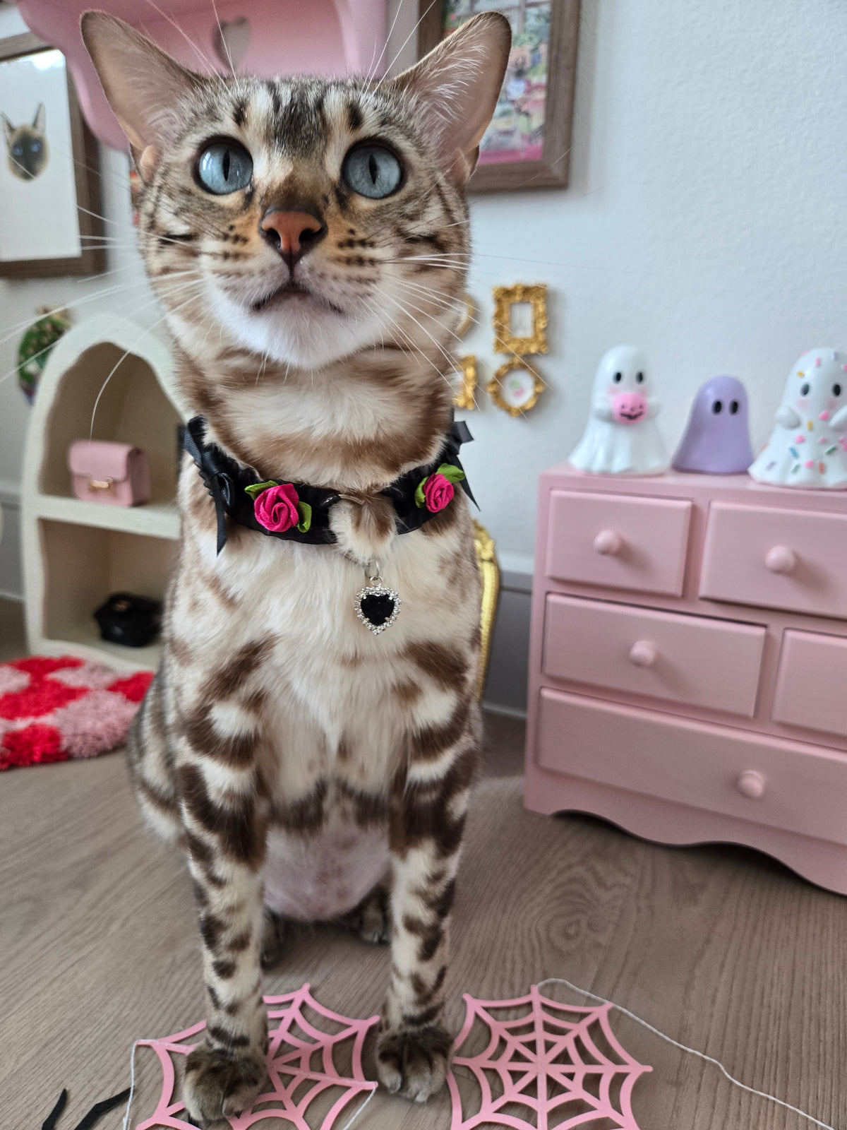 Le Midnight Heart Pet Necklace