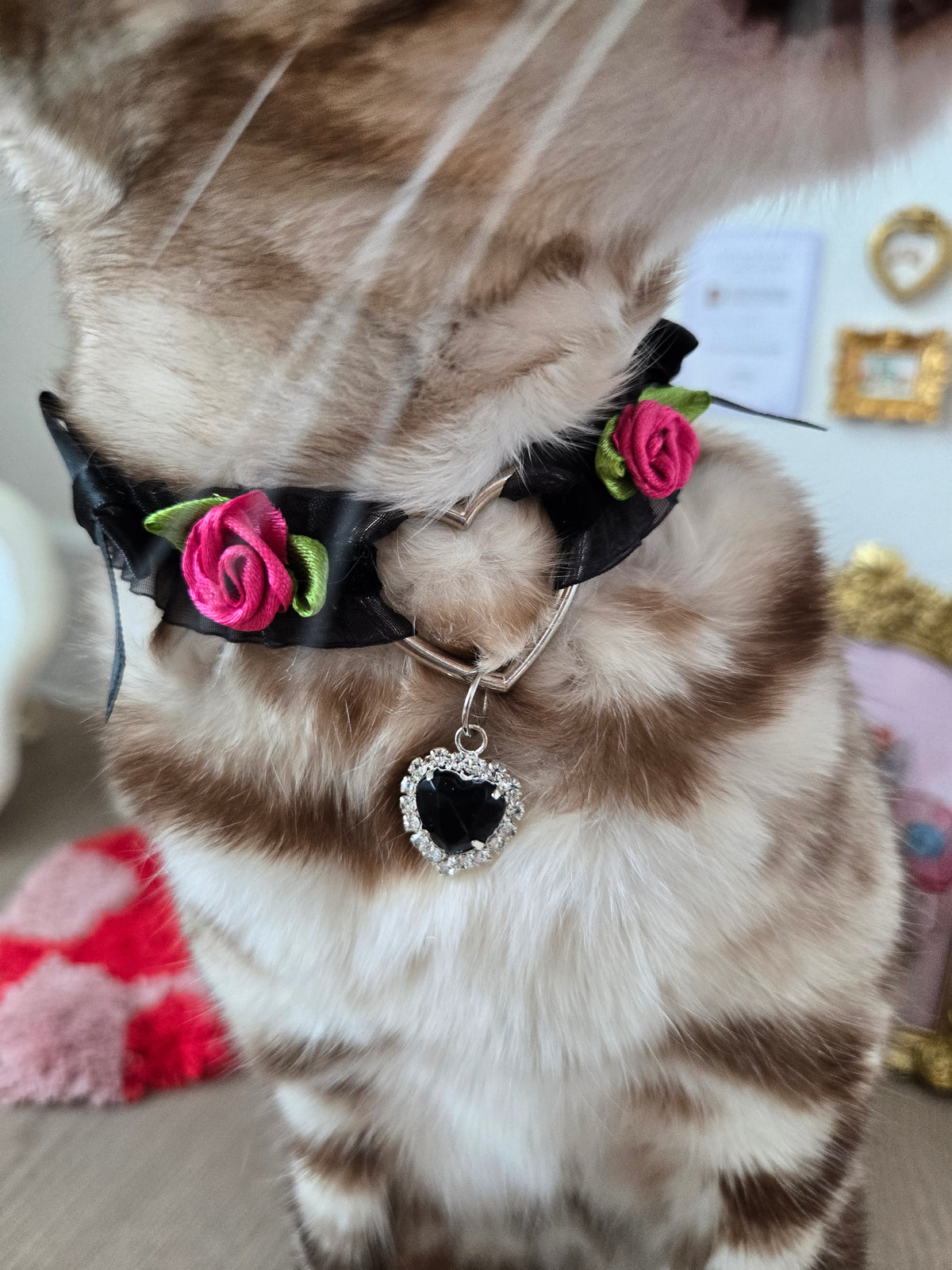 Le Midnight Heart Pet Necklace