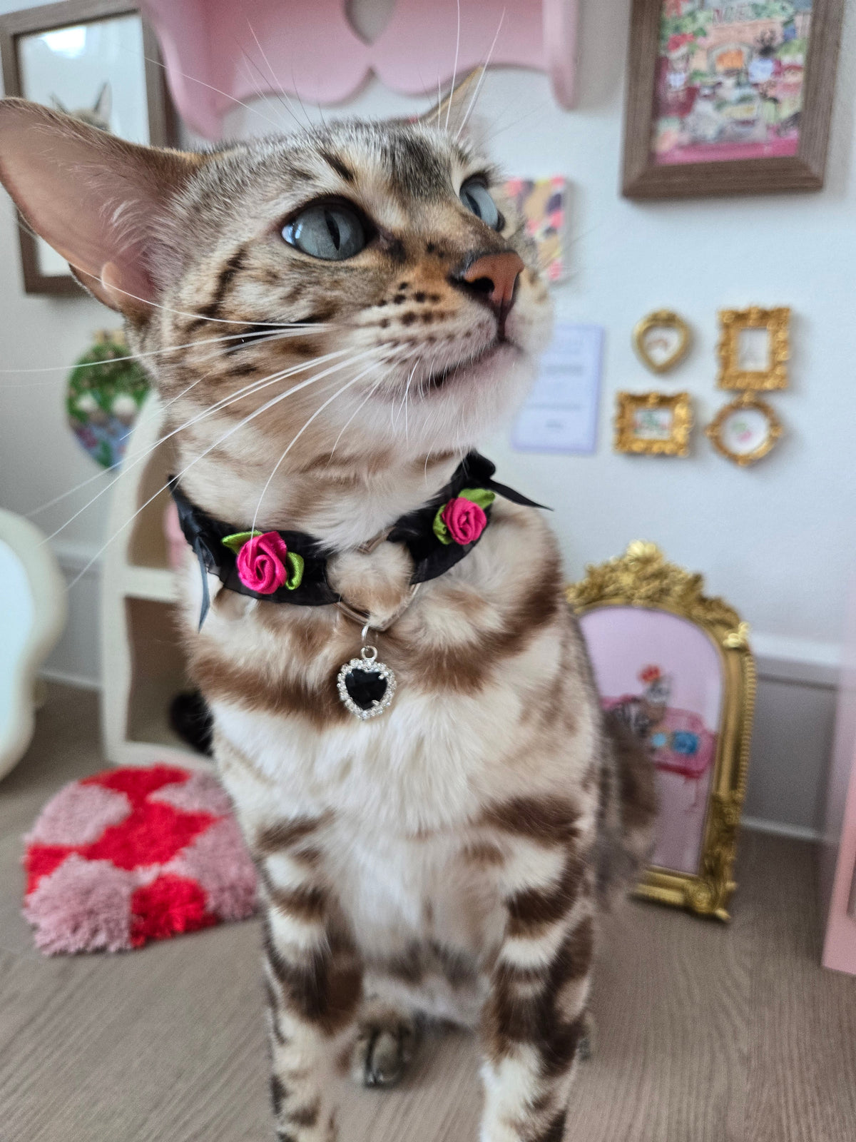 Le Midnight Heart Pet Necklace