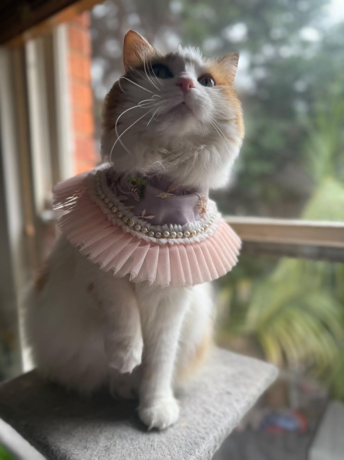 La Duchesse Pet Bandana (En Couture collection)