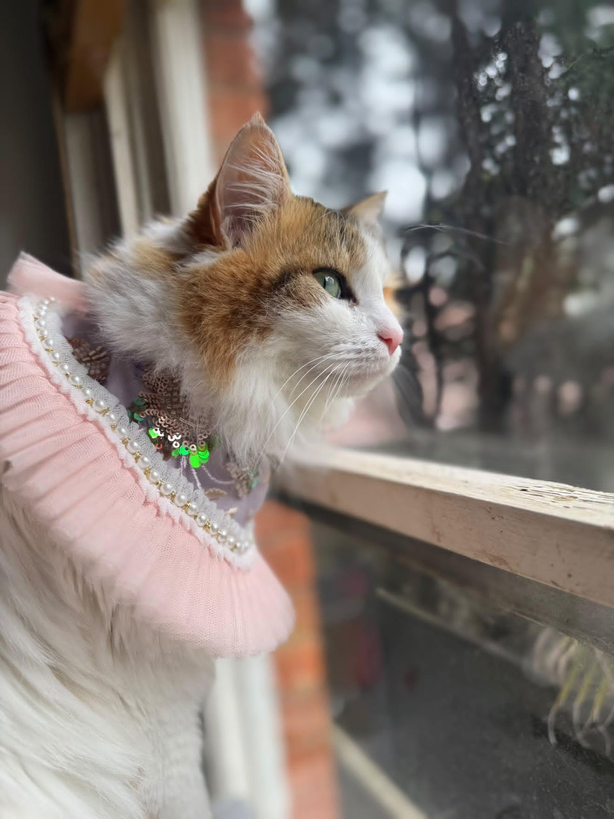 La Duchesse Pet Bandana (En Couture collection)