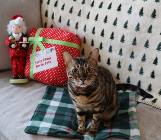 SnuggleLux Pet Blanket
