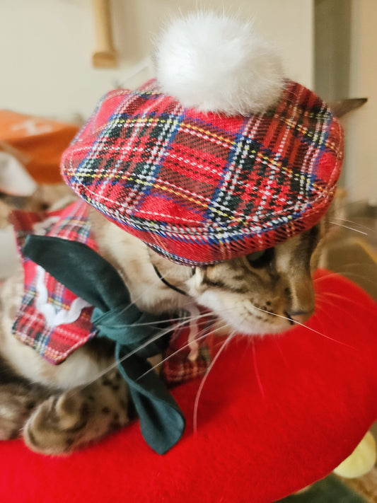 Holly Jolly Beret and Cape