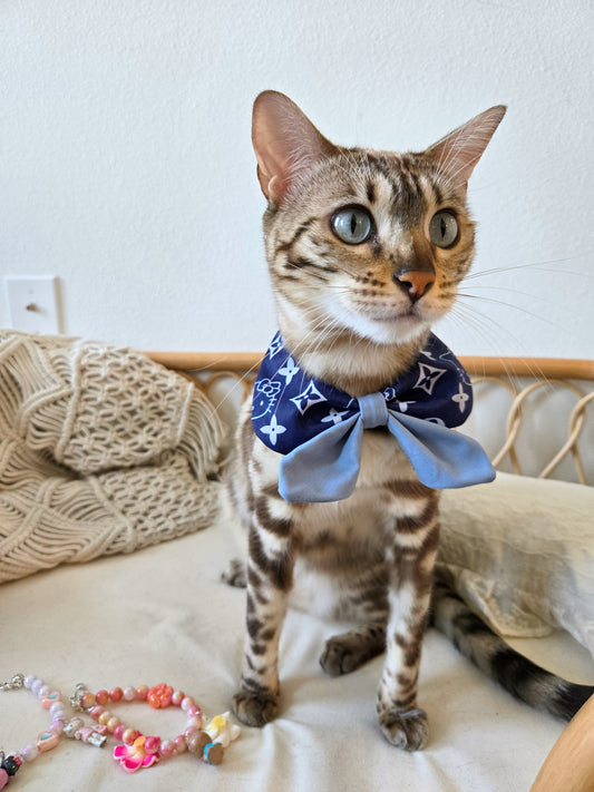 Royal Academy Pet Bandana
