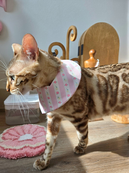 Kitty and Bear Pet Bandana (reversible 4-way wear)