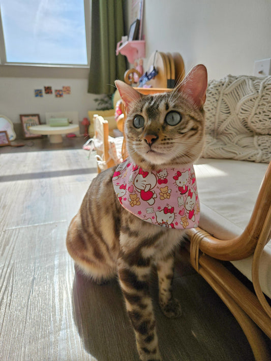 Kitty and Bear Pet Bandana (reversible 4-way wear)