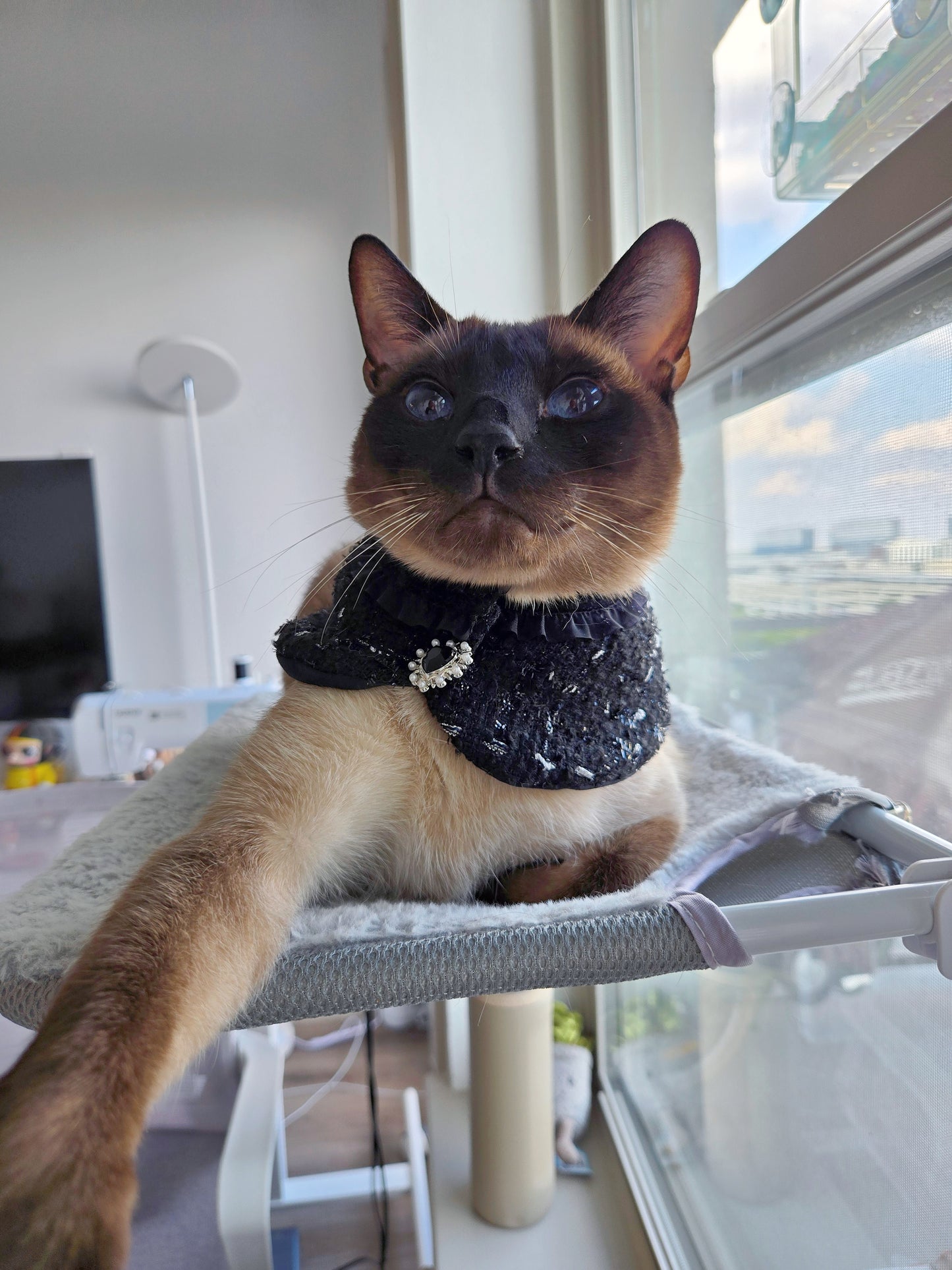 La Grand Sorcière Pet Bandana