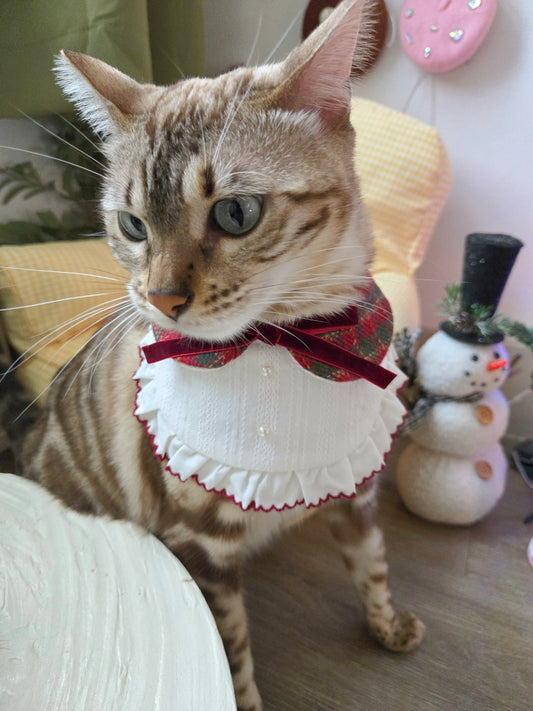 Winter Tea Party Pet Bandana
