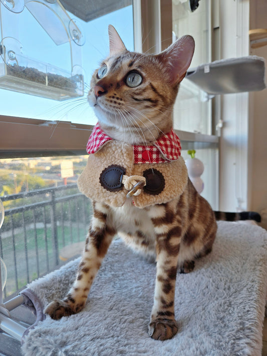 Mont Blanc Ski Lodge Pet Cape