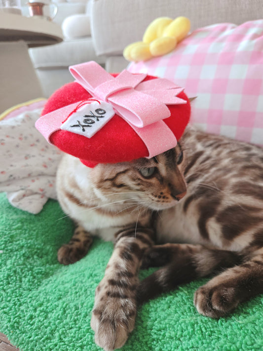 XOXO Gift Box Pet Beret
