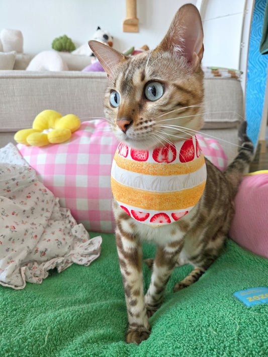 Strawberry Shortcake Pet Bandana (4-way wear)