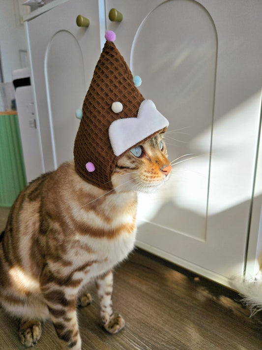 Sunday Sundae Pet Hat
