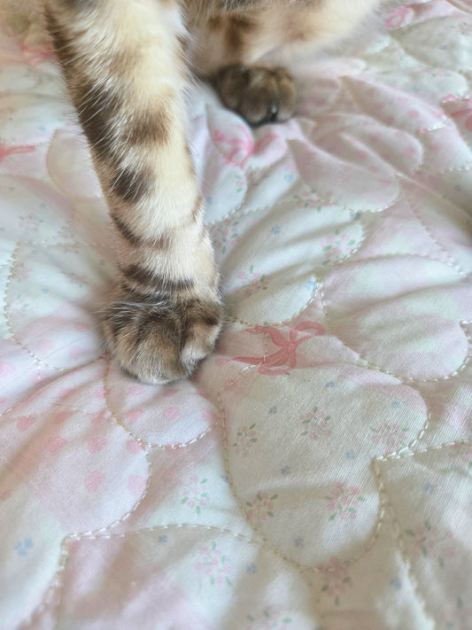 Sweet Dreams Quilted Pet Lounge Mat