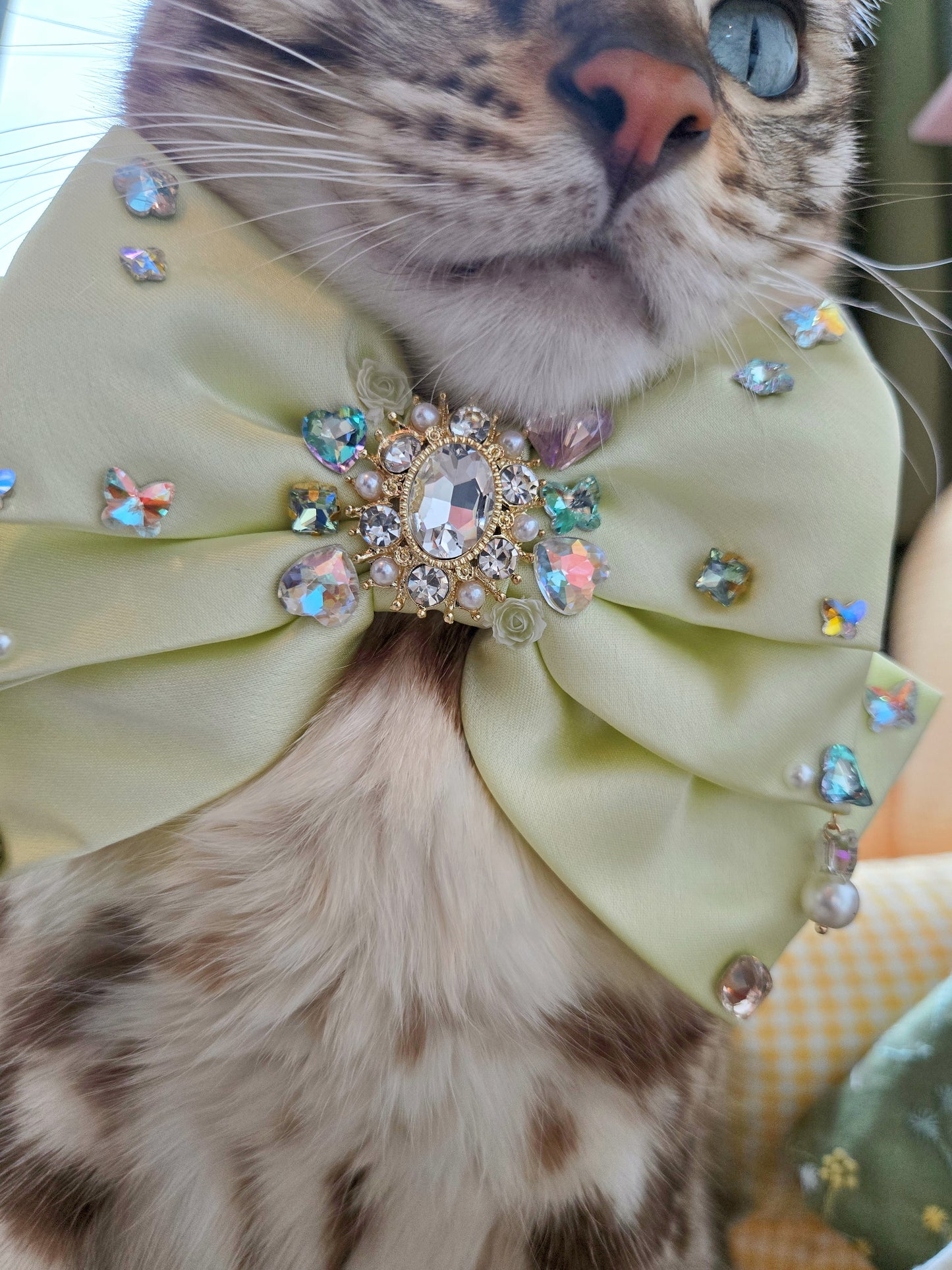 La Perle Satin Bow (En Couture collection)