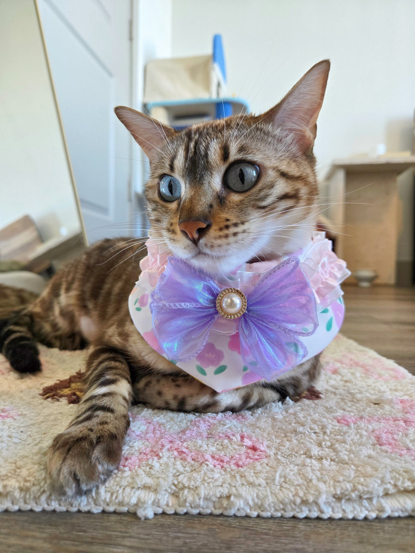 Strawbeary Princess Pet Bandana (reversible 4-way wear)