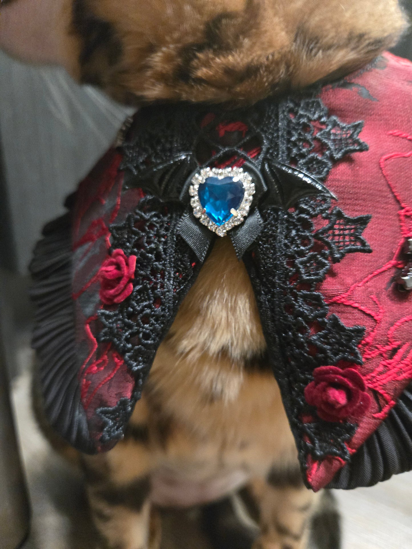 Noir Meowgic Pet Bandana