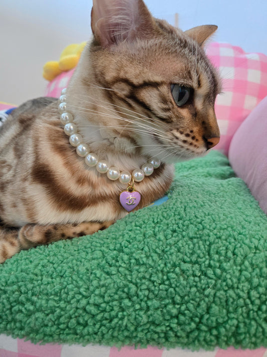 Chameowl Purple Pet Necklace