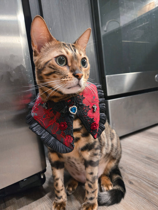 Noir Meowgic Pet Bandana