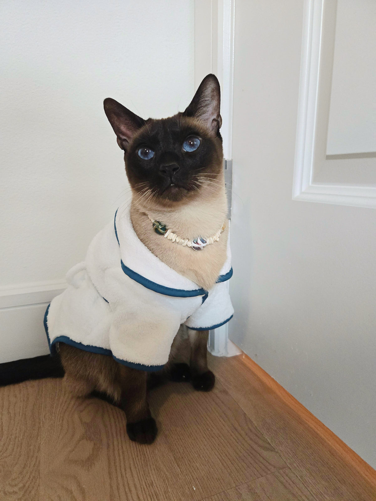 Surfer Heartbreaker Pet Necklace