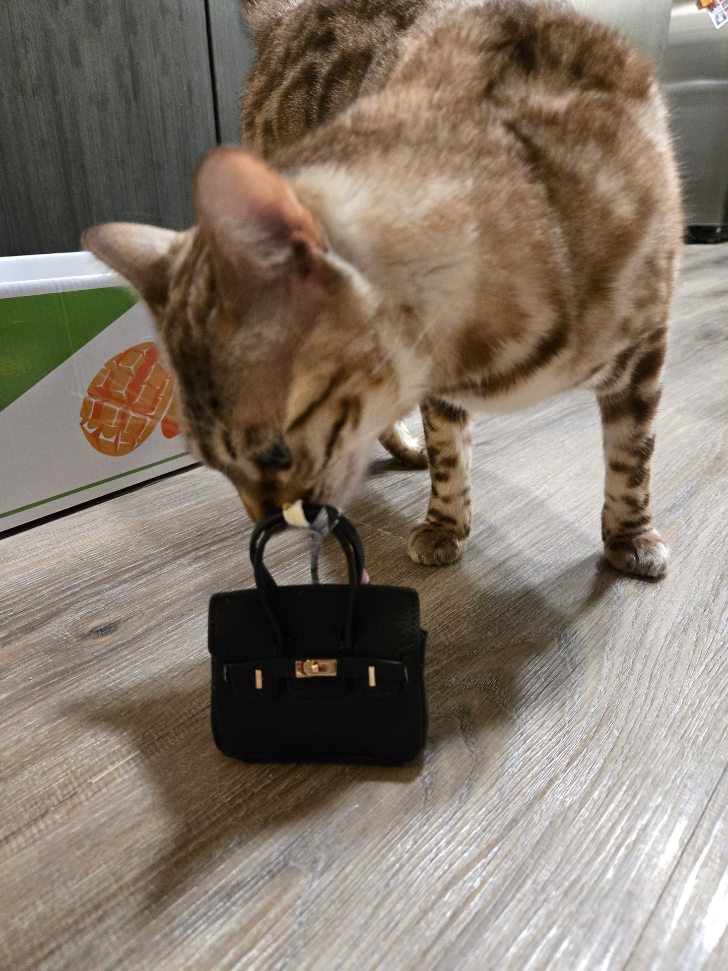 Purrkin